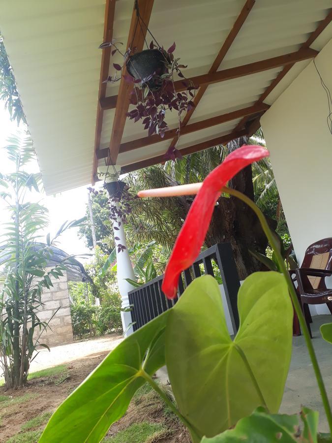 Akila Holiday Resort Хабарана Экстерьер фото