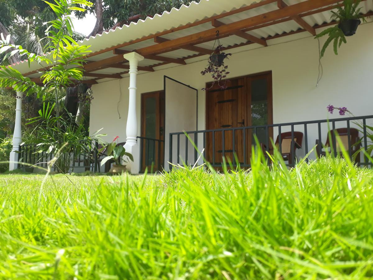 Akila Holiday Resort Хабарана Экстерьер фото